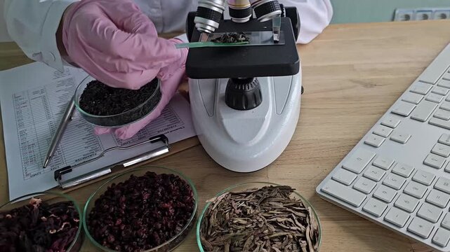 Exploring plant materials in laboratory settings with a microscope and samples in bowls