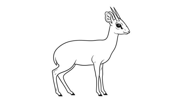 Elegant Klipspringer: A side-view illustration showcases the graceful form of a klipspringer, a small antelope, exuding a sense of tranquility and poise.