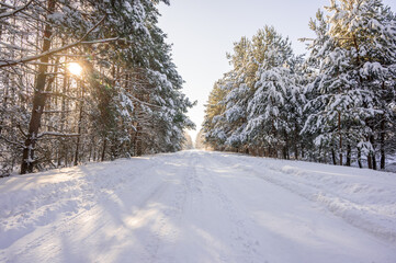 Obraz premium Beautiful winter landscape with a snow-covered road leading through a coniferous forest. Bright sun shining through the trees, creating a magical winter wonderland atmosphere.