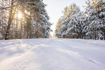 Obraz premium Snowy unplowed rural road in a pine forest. Concept of cold winter, difficult driving conditions, and freezing weather in a remote woodland area.