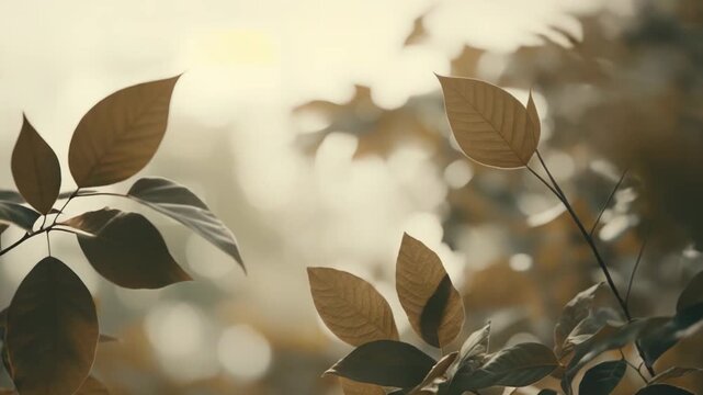 Sepia toned tree leaves catching soft warm sunlight, creating a nature background with natural bokeh circles, symbolizing tranquility, growth, and organic beauty in the environment