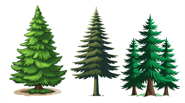 Set of four detailed evergreen pine and spruce trees isolated on a white background. Hand-drawn vector illustrations with textured needles and various tree shapes, perfect for nature-themed graphic de