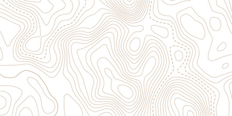 Geography landscape Topo contour map on white background, Smooth shape paper cut wavy shaped layers topographic background.paper texture Imitation of a geographical map shades.
