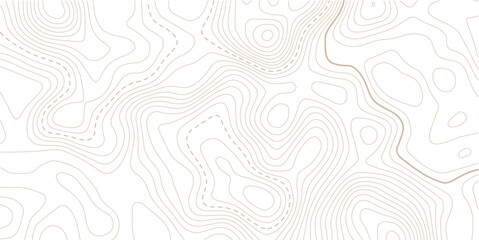 Fototapeta premium Geography landscape Topo contour map on white background, Smooth shape paper cut wavy shaped layers topographic background.paper texture Imitation of a geographical map shades. 