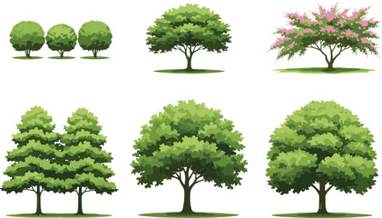 Fototapeta premium Collection of various green and flowering deciduous trees isolated on white background for landscape garden design.