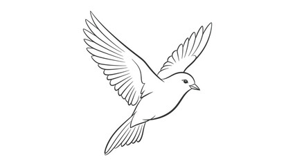 Obraz premium Soaring Bird Sketch: A graceful avian outline, wings outstretched in mid-flight, embodies freedom and tranquility, symbolizing peace and hope.