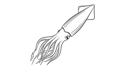 Obraz premium Squid: Elegant linear illustration showcases the squid, marine creature. Emphasizing its graceful form, tentacles, and unique anatomy.