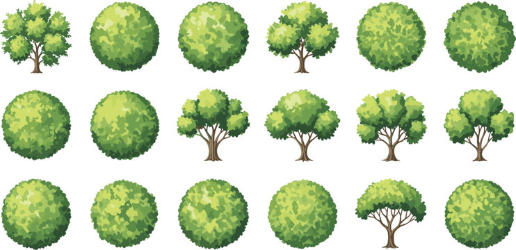 Collection of architectural tree symbols in top and front view for landscape site plan design.