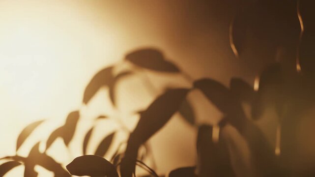 Dark green leaves silhouetted against warm golden backlight of sunset, creating serene organic patterns and soft glow with peaceful evening mood and ample copy space