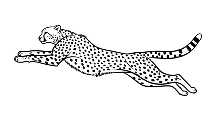 Obraz premium Cheetah in Motion: A sleek cheetah, a symbol of speed and agility, is captured in mid-stride, showcasing its powerful physique and distinctive spotted coat.