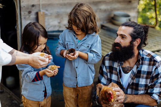 Father with two kids holding chicken and chicks on an organic farm