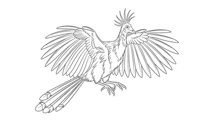 Obraz premium Line Art Crested Bird in Flight: A majestic bird with a distinctive crest and outstretched wings, rendered in intricate line art, takes flight with elegance and grace.