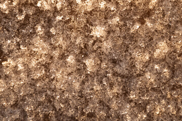 Ice texture with frozen bubbles and warm sunlight reflections