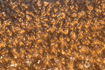 Ice texture with frozen bubbles and warm sunlight reflections