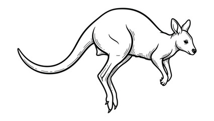 Fototapeta premium Agile Kangaroo in Action: Capturing a kangaroo mid-leap, showcasing its remarkable agility and distinctive silhouette.