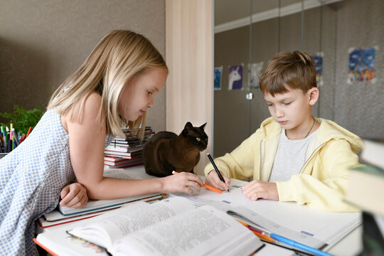 Brother and sister with a cat sitting at table at home doing homework together