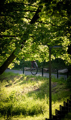 Unicycle and persons legs hiding between green tree leafs on a sunny summer day © Anna