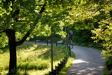 Unicyclist commuting through a tree-lined park with sunlight filtering through leaves. Eco-friendly transport, mindfulness, balance sport, modern sustainable lifestyle. © Anna
