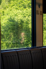 Fototapeta premium Passenger train window with reflection and lush green vegetation passing by, tranquil commute and sustainable transportation theme.