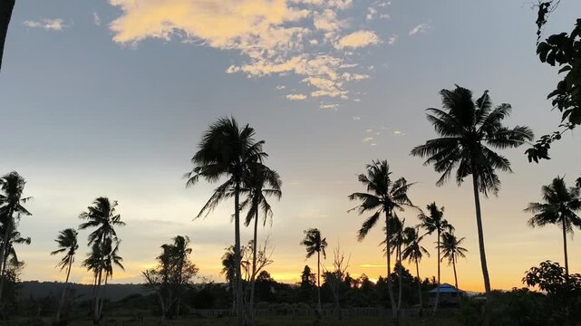 Silhouette of coconut palm trees (Cocos nucifera) against a colorful sunset sky with clouds, creating a tropical, peaceful, and cinematic landscape background