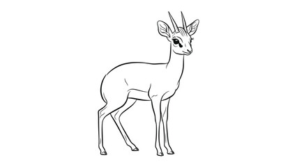 Graceful Dik-Dik Illustration: A delicate illustration captures the slender form of a dik-dik, a small antelope known for its gentle nature and captivating eyes. © abidakhatun