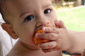 Adorable baby eating fresh orange peach. A cute little baby is sitting on the garden and is eating a peach