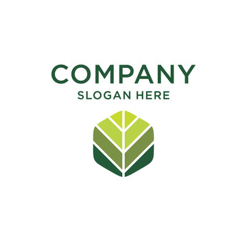 Company logo design featuring a green leaf hexagon and text elements