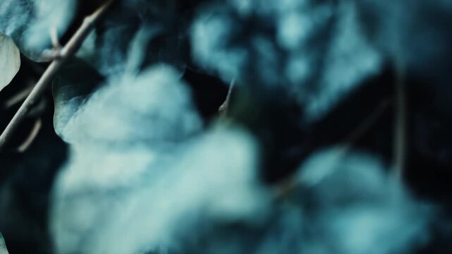 Dark green ivy leaves covered with a fine layer of white frost or dust, creating a textured pattern and cool color palette for an abstract nature background