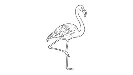 Flamingo sketch in profile: An elegant flamingo stands gracefully, captured in a detailed sketch. The image showcases the bird's unique posture, highlighting its long legs and curved neck. © Mohiuddin123