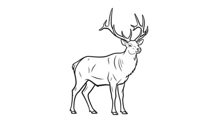 Deer Illustration: An elegantly illustrated deer stands proud, showcasing magnificent antlers, a symbol of wildlife majesty.