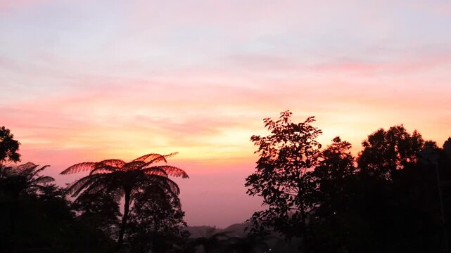 A beautiful sunrise with bright orange and pink hues over the silhouettes of windblown trees and tropical mountains, creating a peaceful and dramatic natural morning scene.