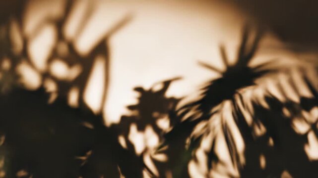 Tropical palm leaves creating natural shadows and sunlit patterns on a warm, earthy toned wall, evoking a tranquil and summer atmosphere for abstract design