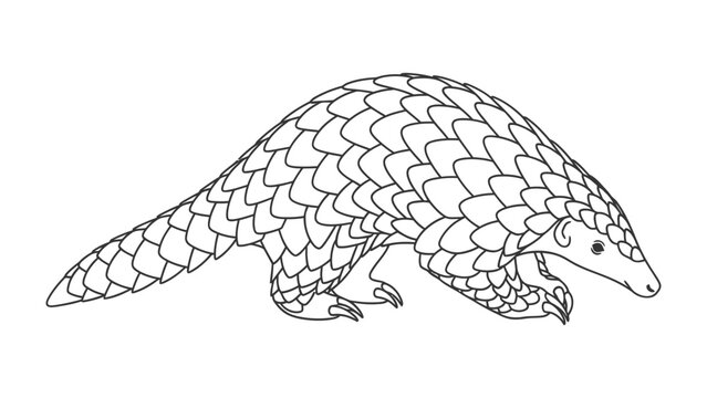 Scaly Pangolin Silhouette: a monochrome illustration of a pangolin, a unique mammal known for its protective scales, gracefully depicted against an isolated backdrop.