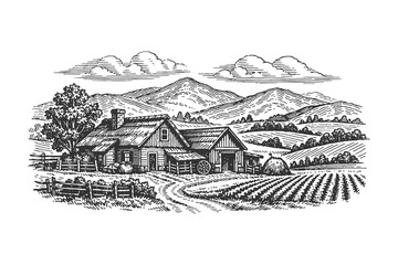 Rustic farmhouse and agricultural fields vector illustration in detailed vintage woodcut style featuring a rural cottage and cultivated farmland crops. © Chairul