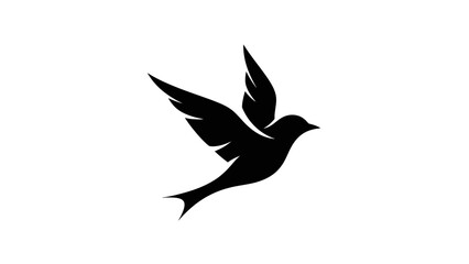 Fototapeta premium Silhouette of a bird in flight with wings spread wide.