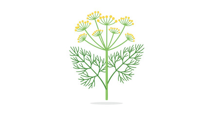 Obraz premium Vibrant green dill plant illustration with delicate yellow flower clusters on a pristine white background. A fresh botanical emblem for culinary