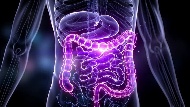 Holographic representation highlights gut microbiota analysis within telehealth nutrition platform