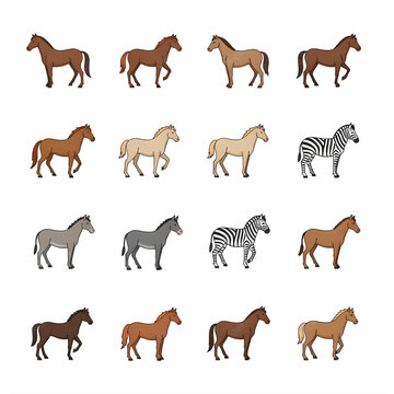 Colorful Horses and Equine Animals Vector Icon Set