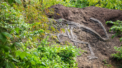 Ancient prehistoric dinosaurs fossil on the stones © bima