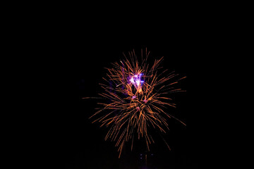 Fireworks blooming in the dark night sky