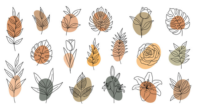 Large collection of diverse botanical line drawings featuring leaves and flowers paired with soft colorful abstract backgrounds.