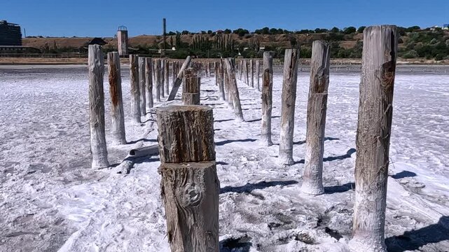 View of the pillars of old salt pans in the Kuyalnik Estuary, Sodium Chloride crystallized on the bottom and wooden poles, Ukraine