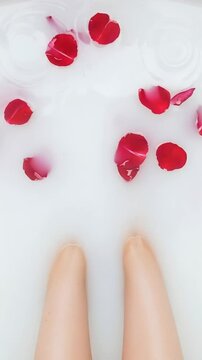 Woman's Legs and Feet with Red Nail Polish in Milk Bath with Rose Petals Vertical