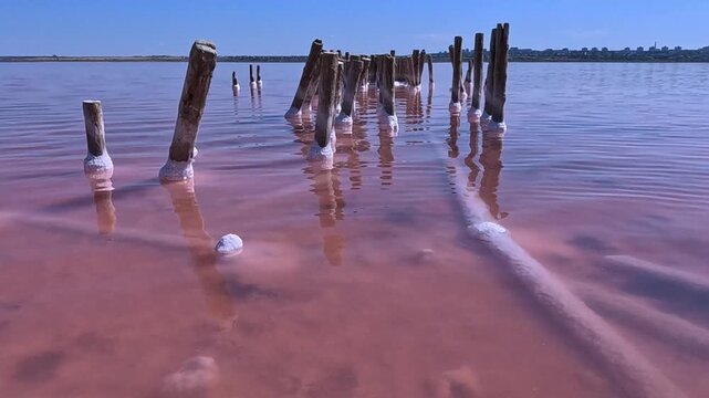 View of the pillars of old salt pans in the Kuyalnik Estuary, Sodium Chloride crystallized on the bottom and wooden poles, Ukraine