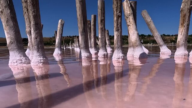 View of the pillars of old salt pans in the Kuyalnik Estuary, Sodium Chloride crystallized on the bottom and wooden poles, Ukraine