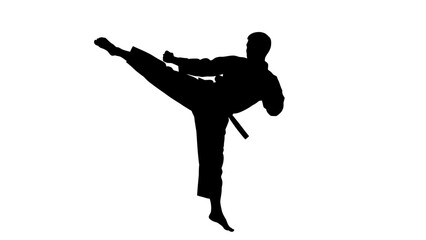 Silhouette of a martial artist performing a side kick.