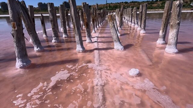 View of the pillars of old salt pans in the Kuyalnik Estuary, Sodium Chloride crystallized on the bottom and wooden poles, Ukraine