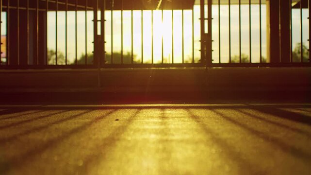 Sunlit Skateboarding