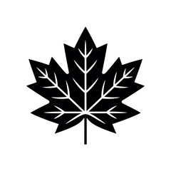 Obraz premium A simple black and white graphic illustration of a maple leaf