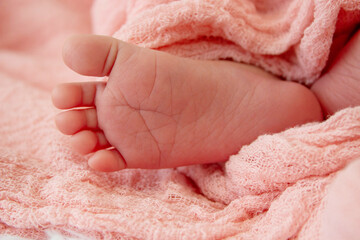 Fototapeta premium Newborn baby's feet wrapped in pink cloth